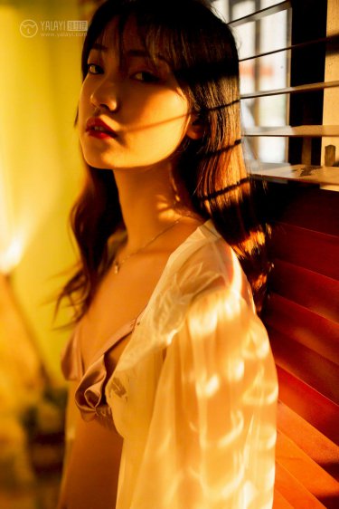 电视剧嫉妒的密码